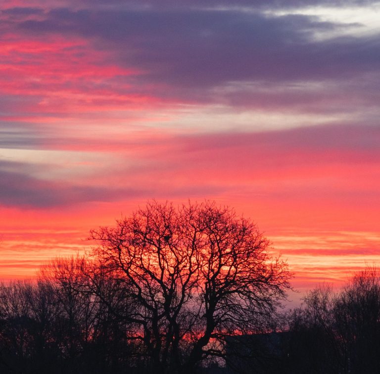 Beginnende herfst bij 't Wed, Bloemendaal